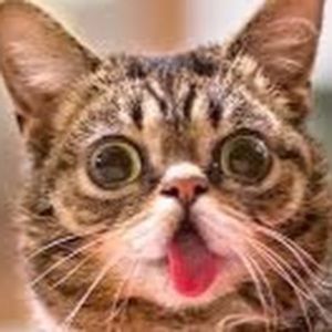 Meet your Posher, Simone